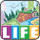 The Game of Life