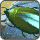 Hidden Expedition : Amazon