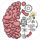Brain Test