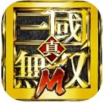Dynasty Warriors M