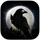 NIGHT CROWS