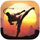 Shades: Shadow Fight