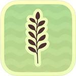 Topsoil